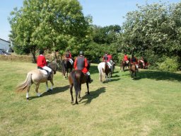 542304_10151090370843585_1884699074_n